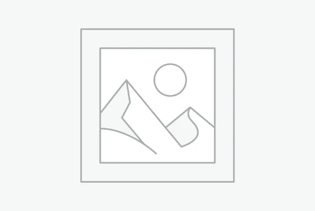 플레이스홀더